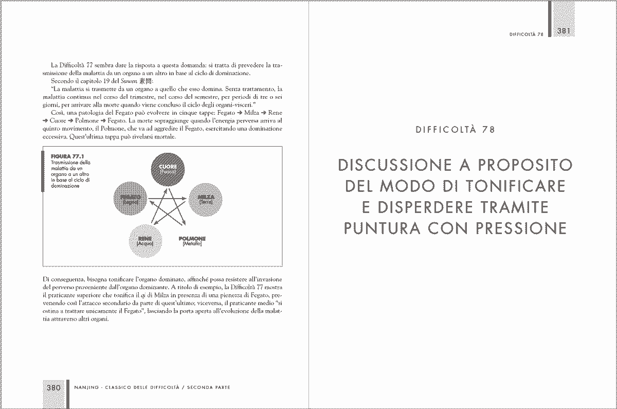 Pagine tratte dal libro Nanjing – Classico delle difficoltà, testo di Medicina Tradizionale Cinese sulla fisiologia energetica e la diagnosi.