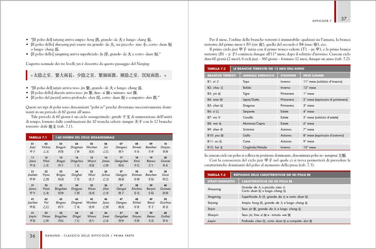 Pagine tratte dal libro Nanjing – Classico delle difficoltà, testo di Medicina Tradizionale Cinese sulla fisiologia energetica e la diagnosi.
